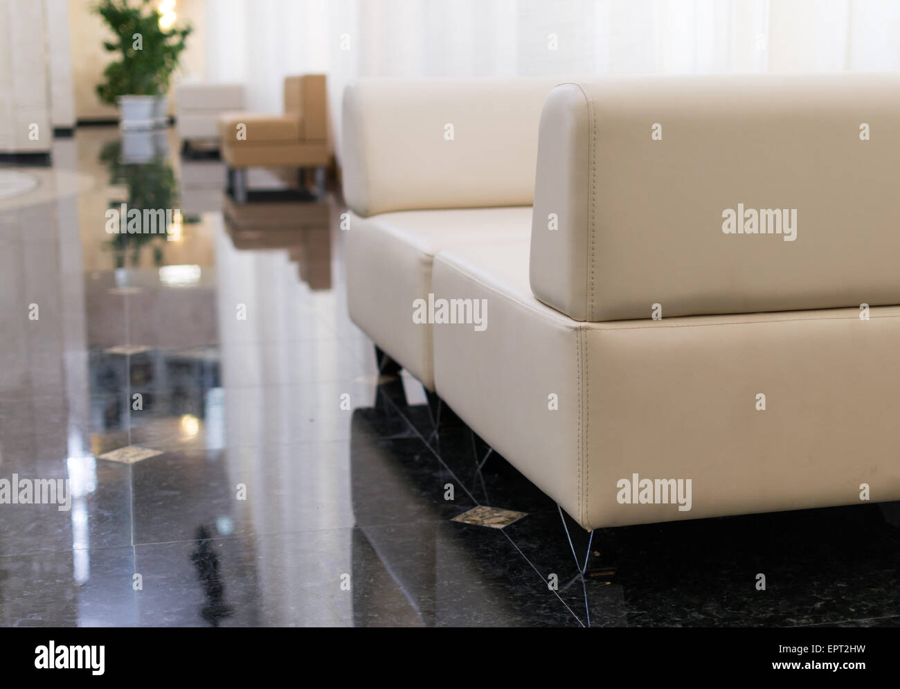 Modern sofas reflected on tiling with house plant Stock Photo