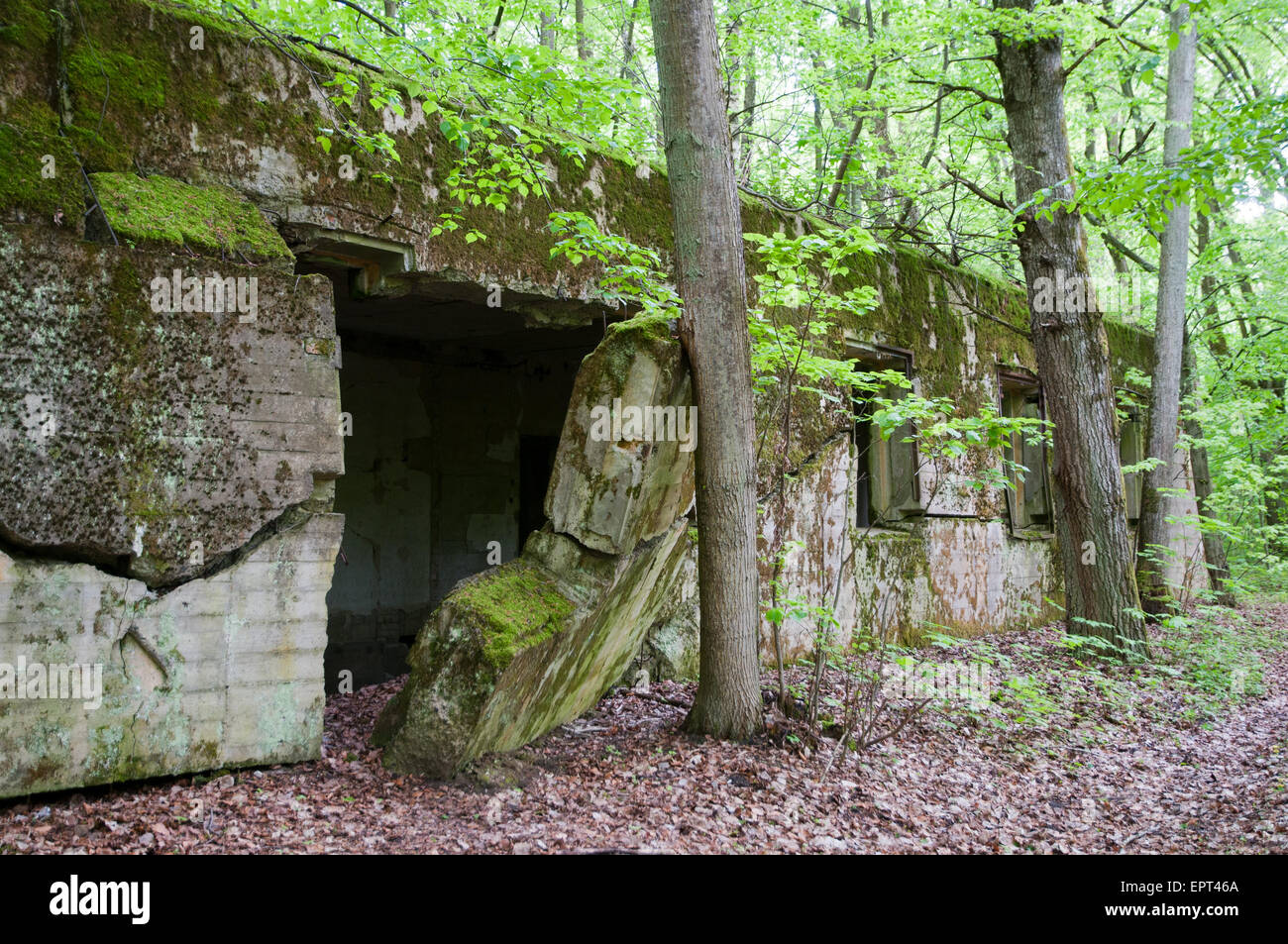 Wolf's Lair Wolf's Lair High Resolution Stock Photography and Images ...