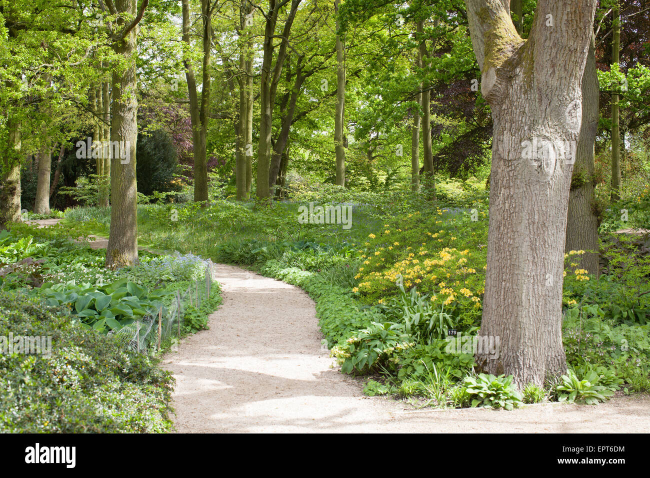 The garden at Dunham Massey National Trust property, Altrincham, UK