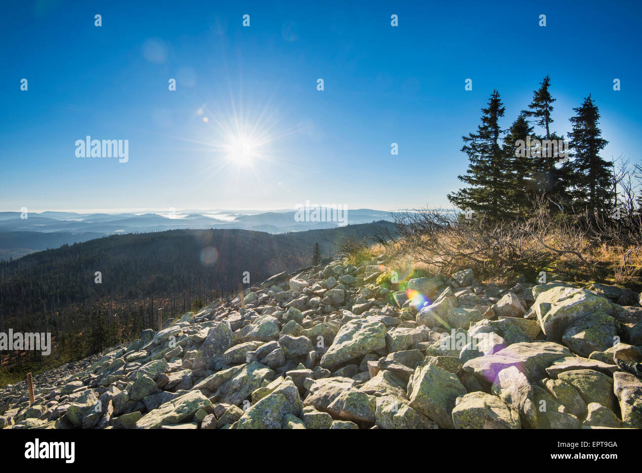 Scenic view of mountain top (Lusen) on a bright, sunny morning, Bavarian Forest National Park, Bavaria, Germany Stock Photo