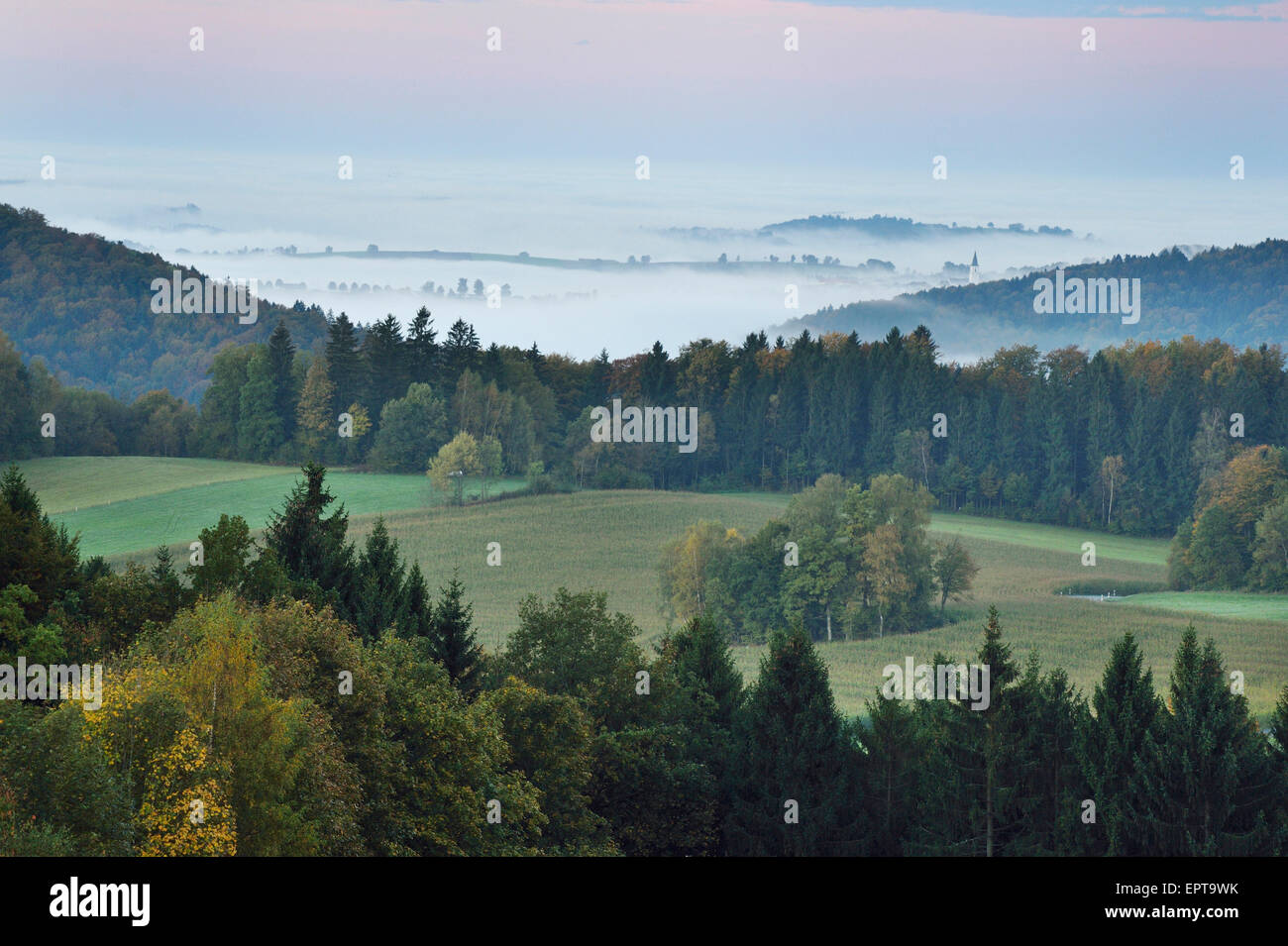 Scenic overview of land and hills on an early, autumn morning with fog, Bavarian Forest National Park, Bavaria, Germany Stock Photo