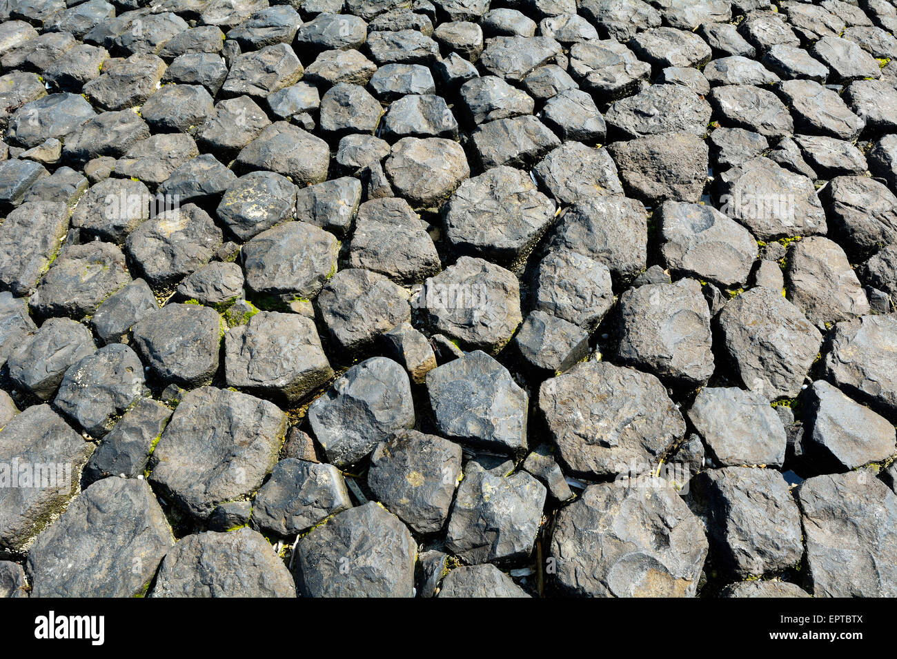 Close-up of Basalt Stones, bank reinforcement, Norderney, East Frisia Island, North Sea, Lower Saxony, Germany Stock Photo
