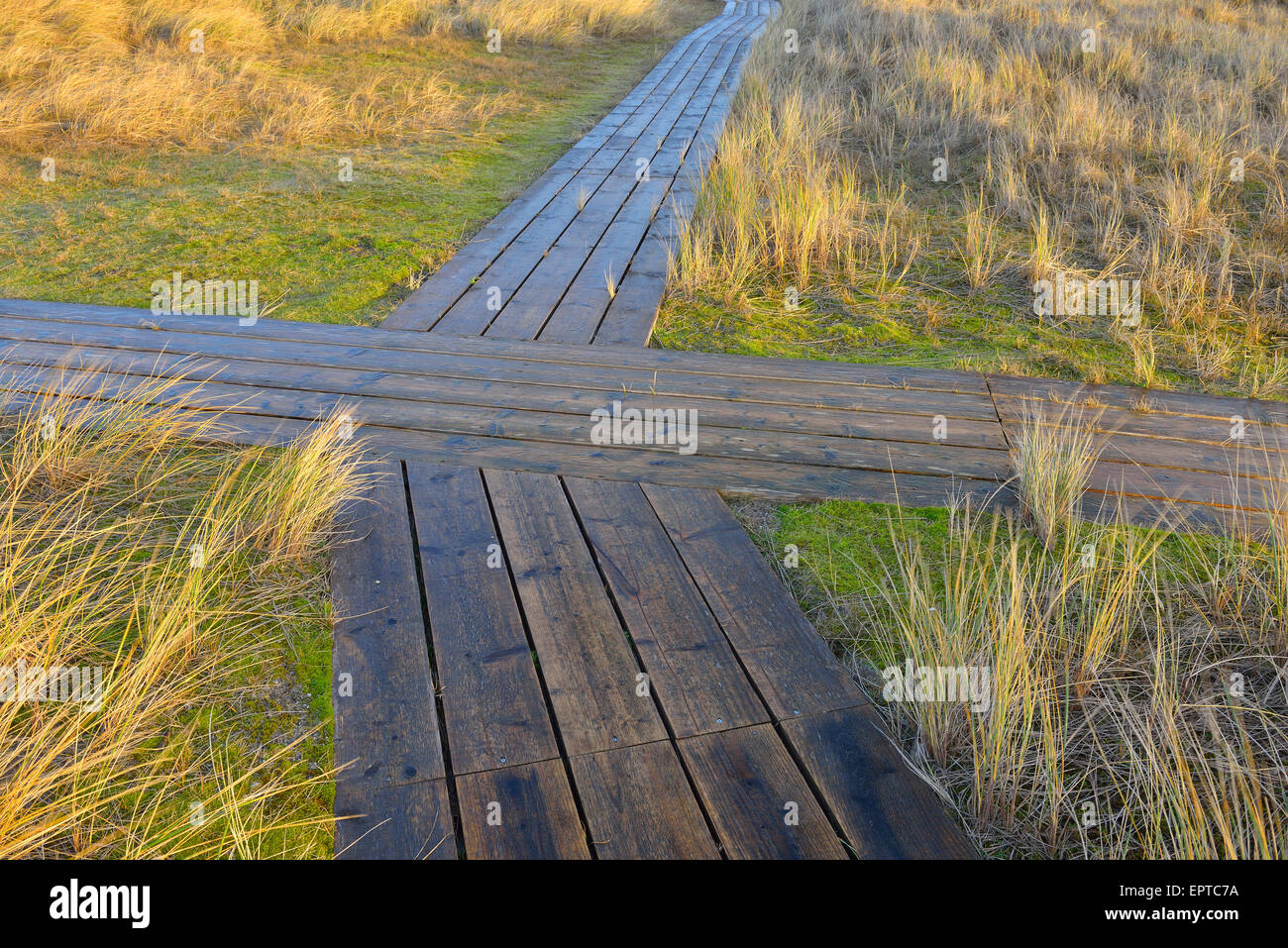 Crossing on Wooden Planks, Boardwalk Path between Dunes, Helgoland, North Sea, Island, Schleswig Holstein, Germany Stock Photo