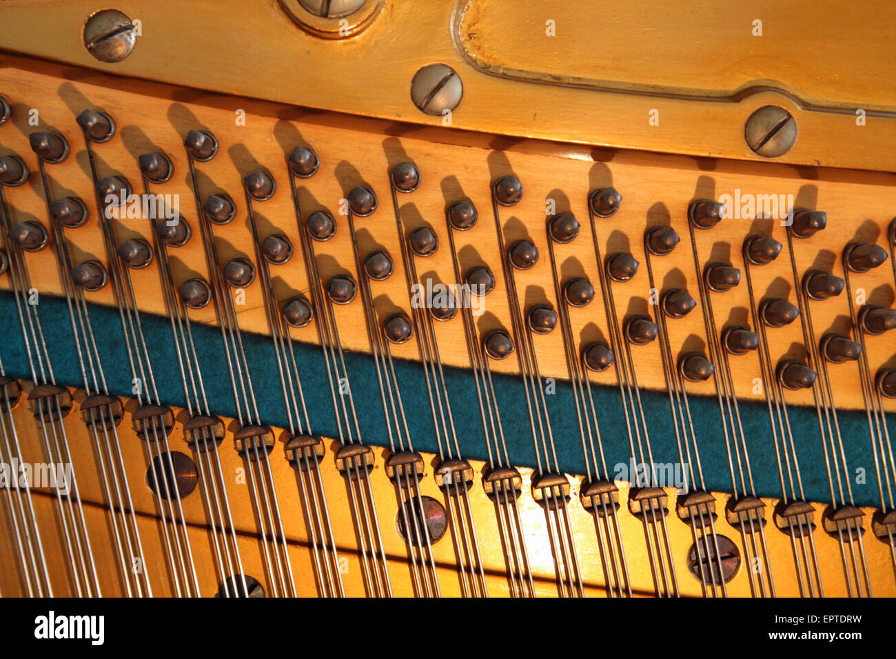 the strings, tuning pins and soundboard inside a Bechstein upright piano Stock Photo