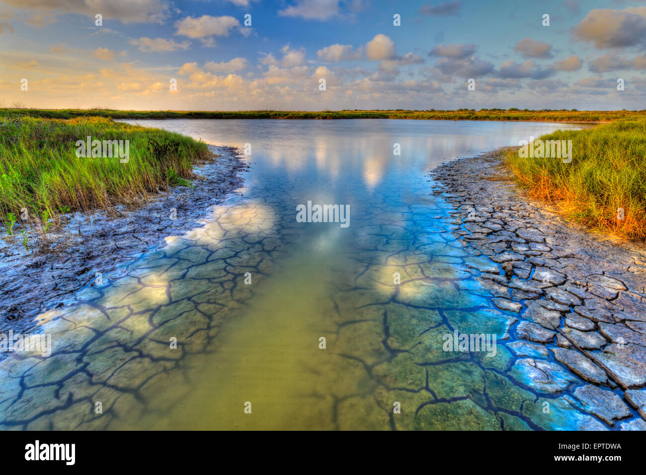 South Texas wetland are showing the effect of drought in tidal pools near the Gulf Coast Stock Photo