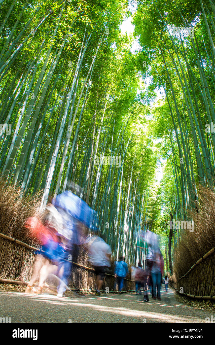 Arashiyama Bamboo Grove in Kyoto,Japan (with people) Stock Photo