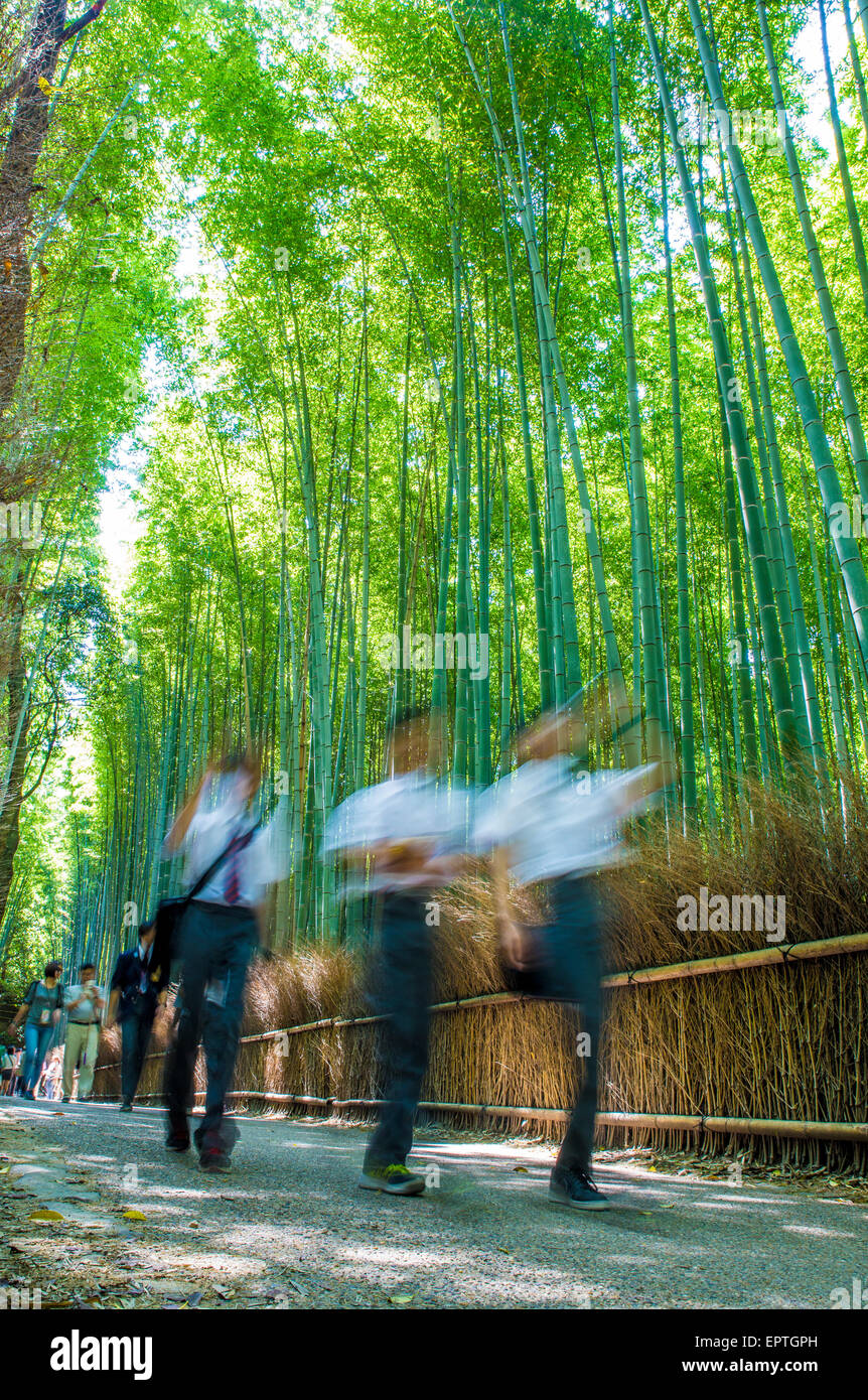 Arashiyama Bamboo Grove in Kyoto,Japan (with people) Stock Photo