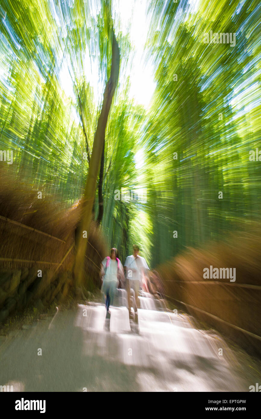 Arashiyama Bamboo Grove Stock Photo Alamy