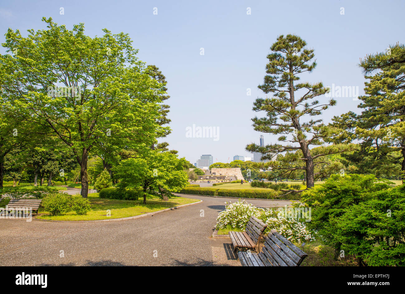 Japanese park in the summer sunshine Stock Photo