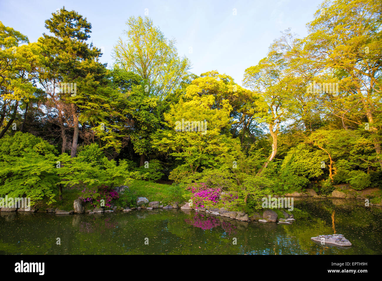 Japanese park in the summer sunshine Stock Photo Alamy