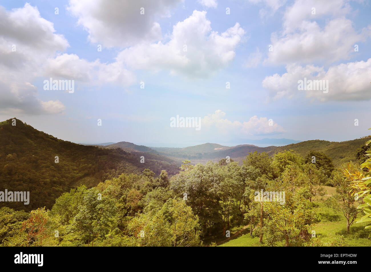Tropical landscape of the jungle and sea in Thailand on Koh Samui Stock ...