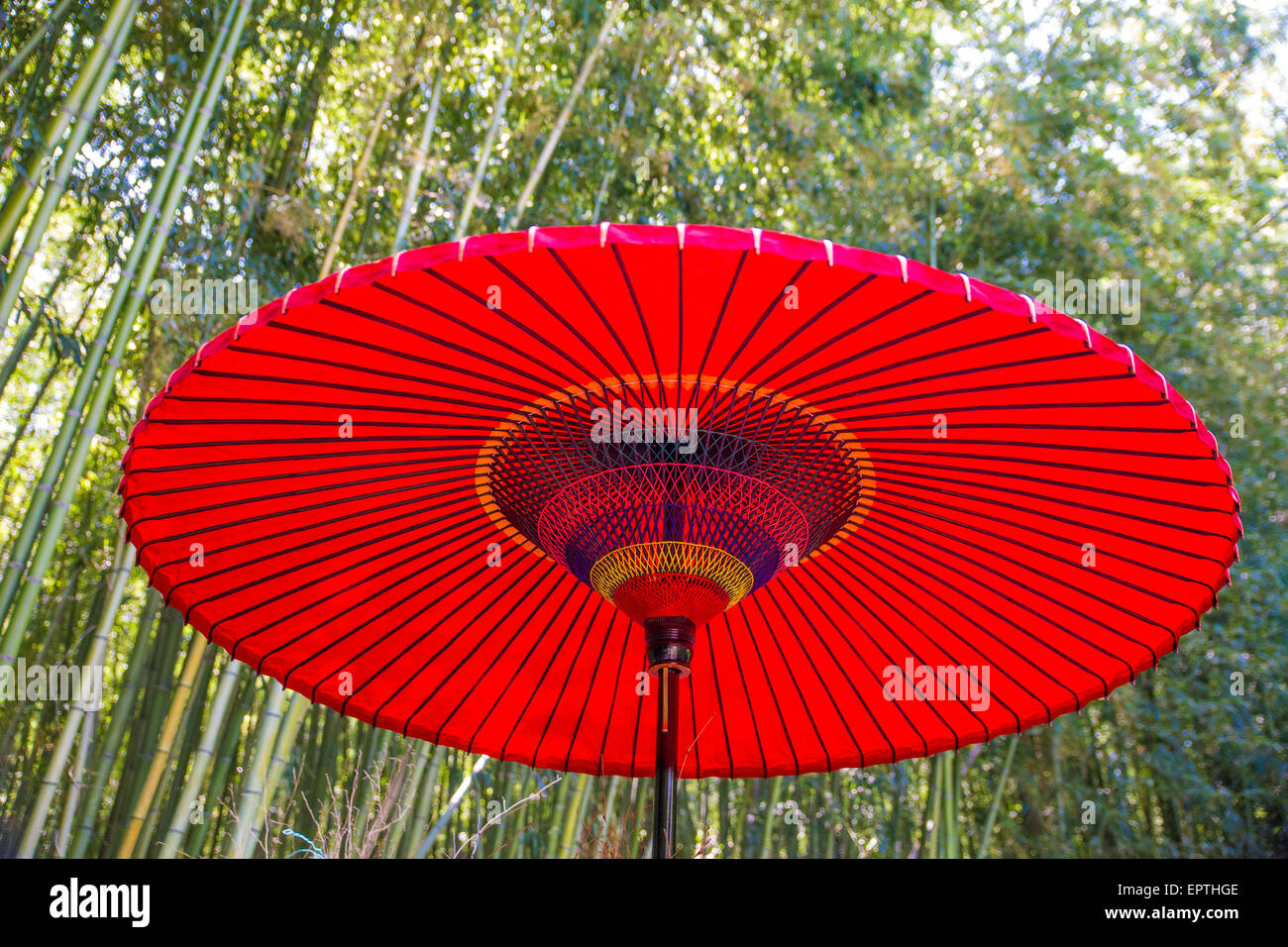 Red parasol in Arashiyama Bamboo Grove Stock Photo