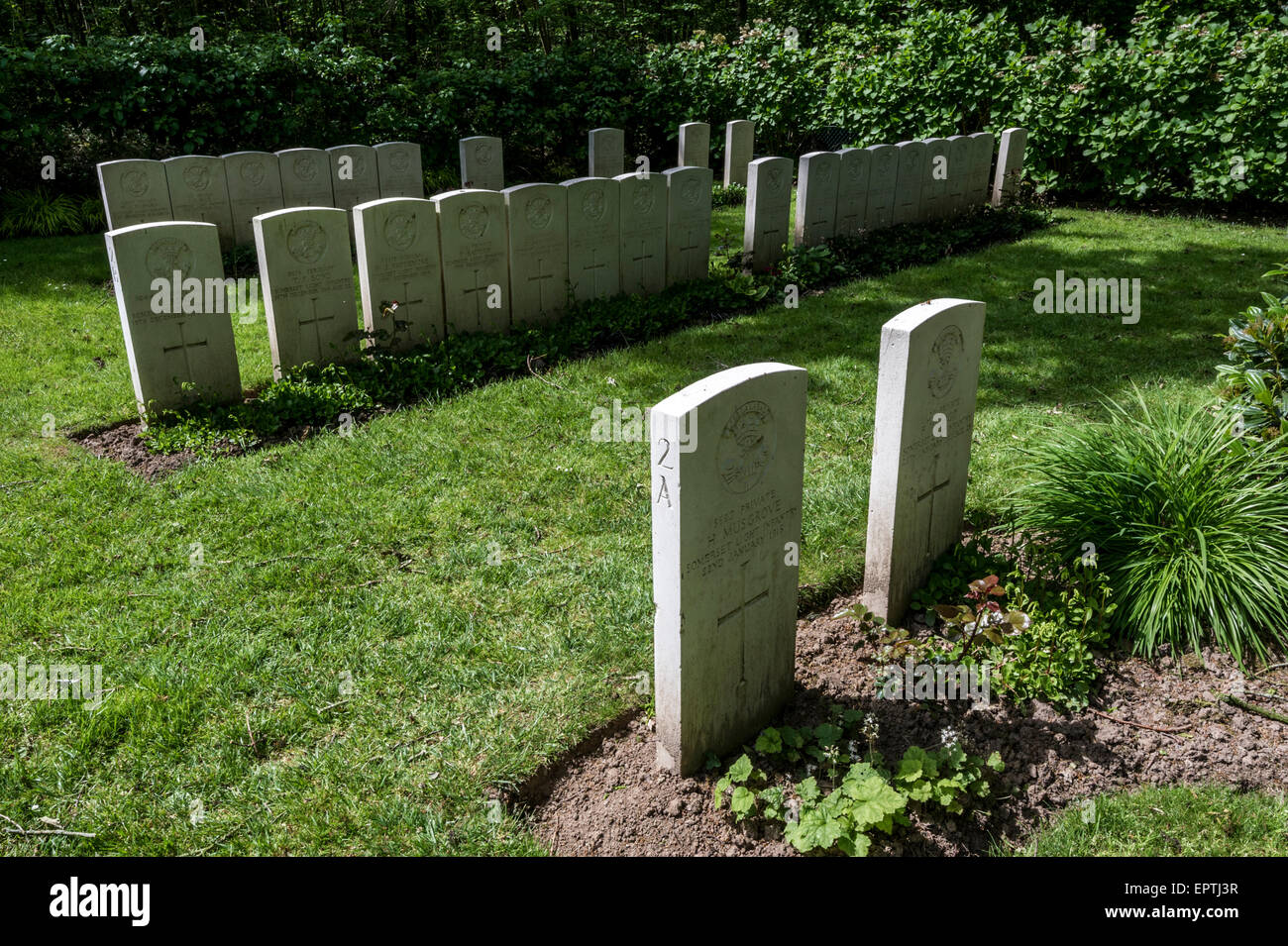 Ploegsteert Wood Military Cemetery Stock Photo