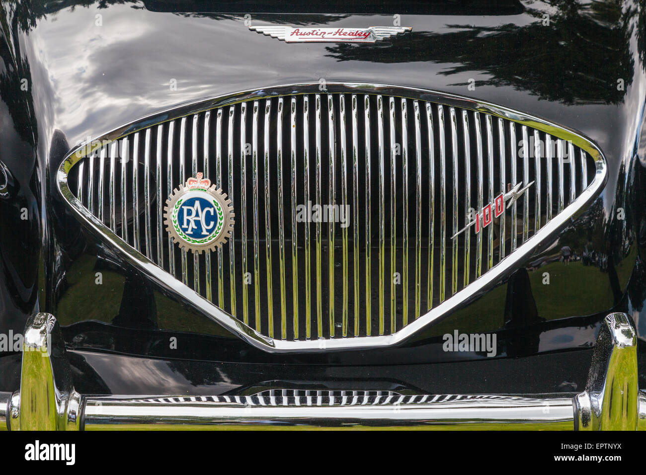 Front grille of an Austin Healey 100 British Sports Car at a show in Vancouver Stock Photo Alamy