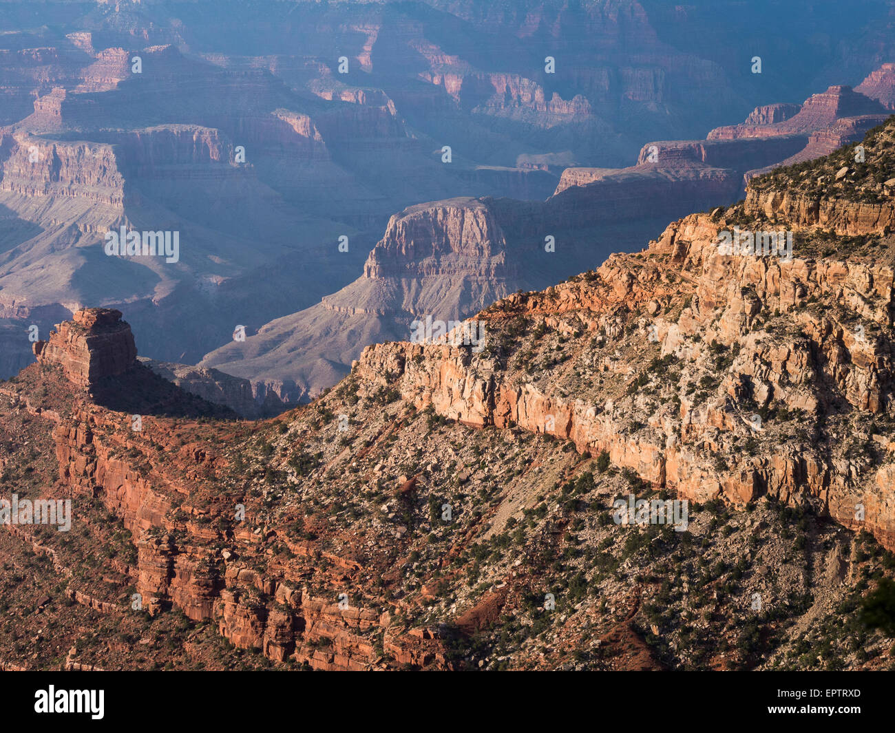 Cedar Rim Cedar Ridge views from rim, South Rim, Grand Canyon National Park ...