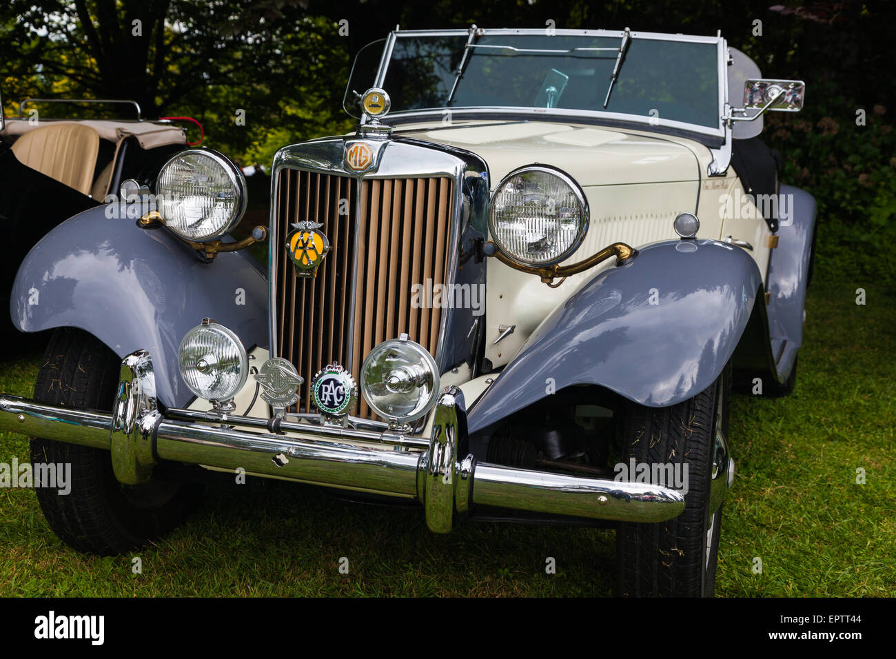 MG METAL CAR LICENSE PLATE MORRIS GARAGES EMBLEM ON BRITISH FLAG UNION