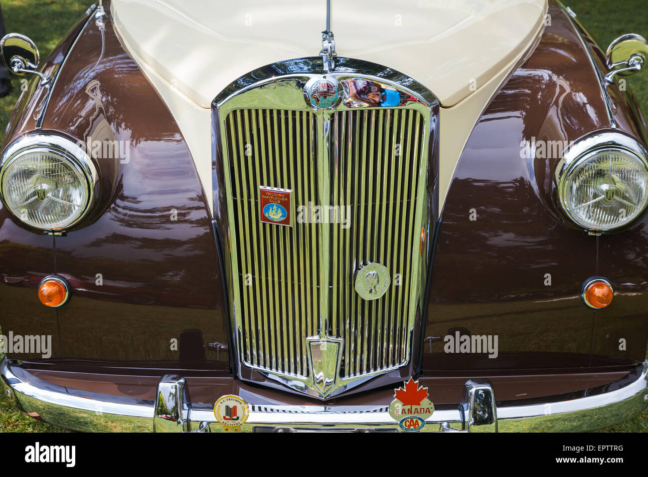 Front view of a Triumph Mayflower car on show at a meet in Vancouver Stock Photo