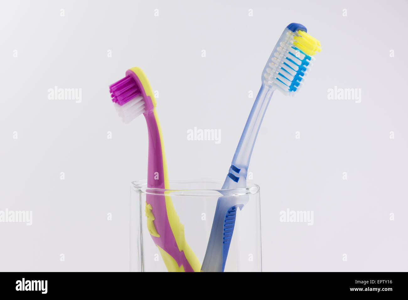 big and small toothbrushes in a glass photographed on a white