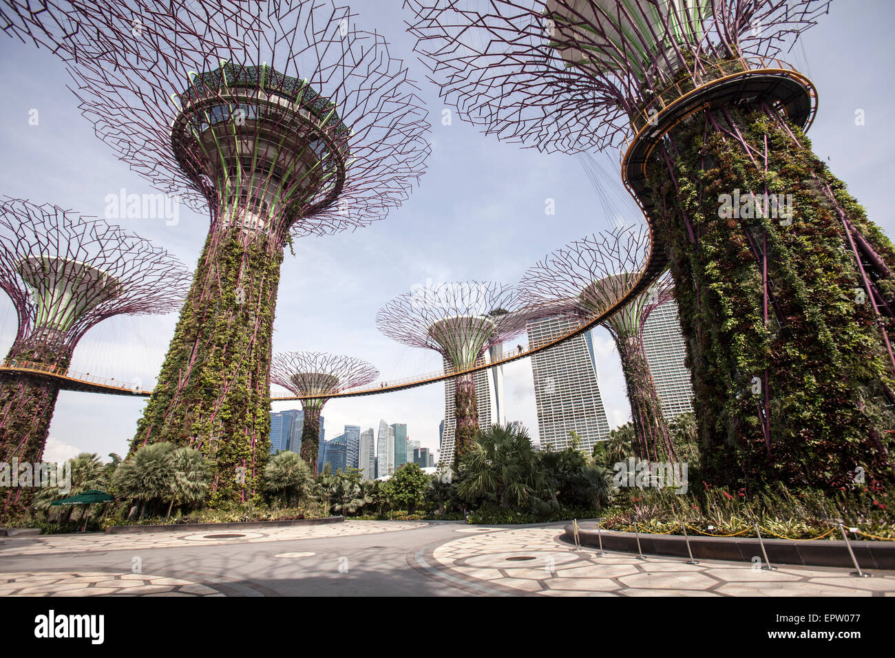 Ocbc Sky Tree Ocbc super tree skyway walkway hi-res stock photography and images - Alamy