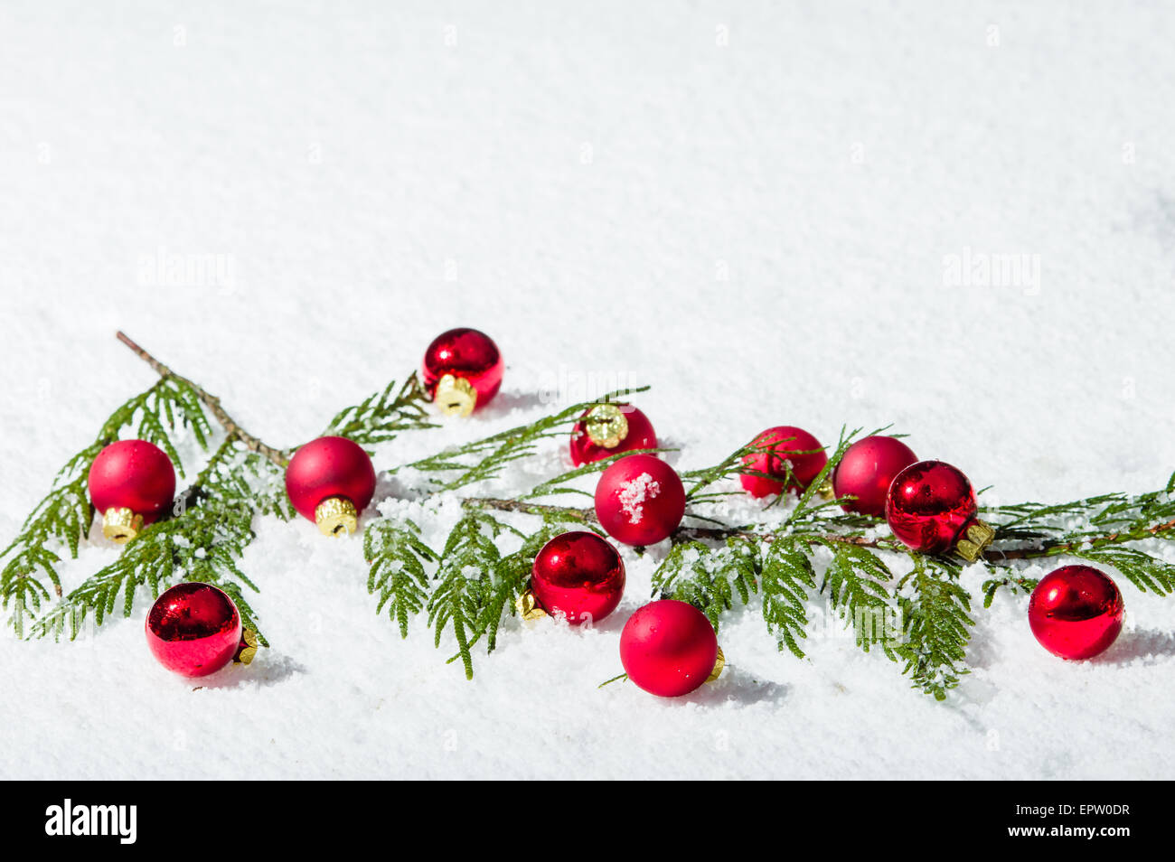 Evergreen bough in the snow with red Christmas ornaments Stock Photo