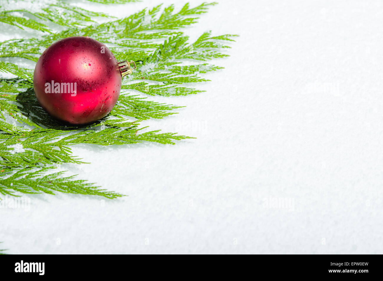 Red Christmas ball on cedar in snow room for text Stock Photo