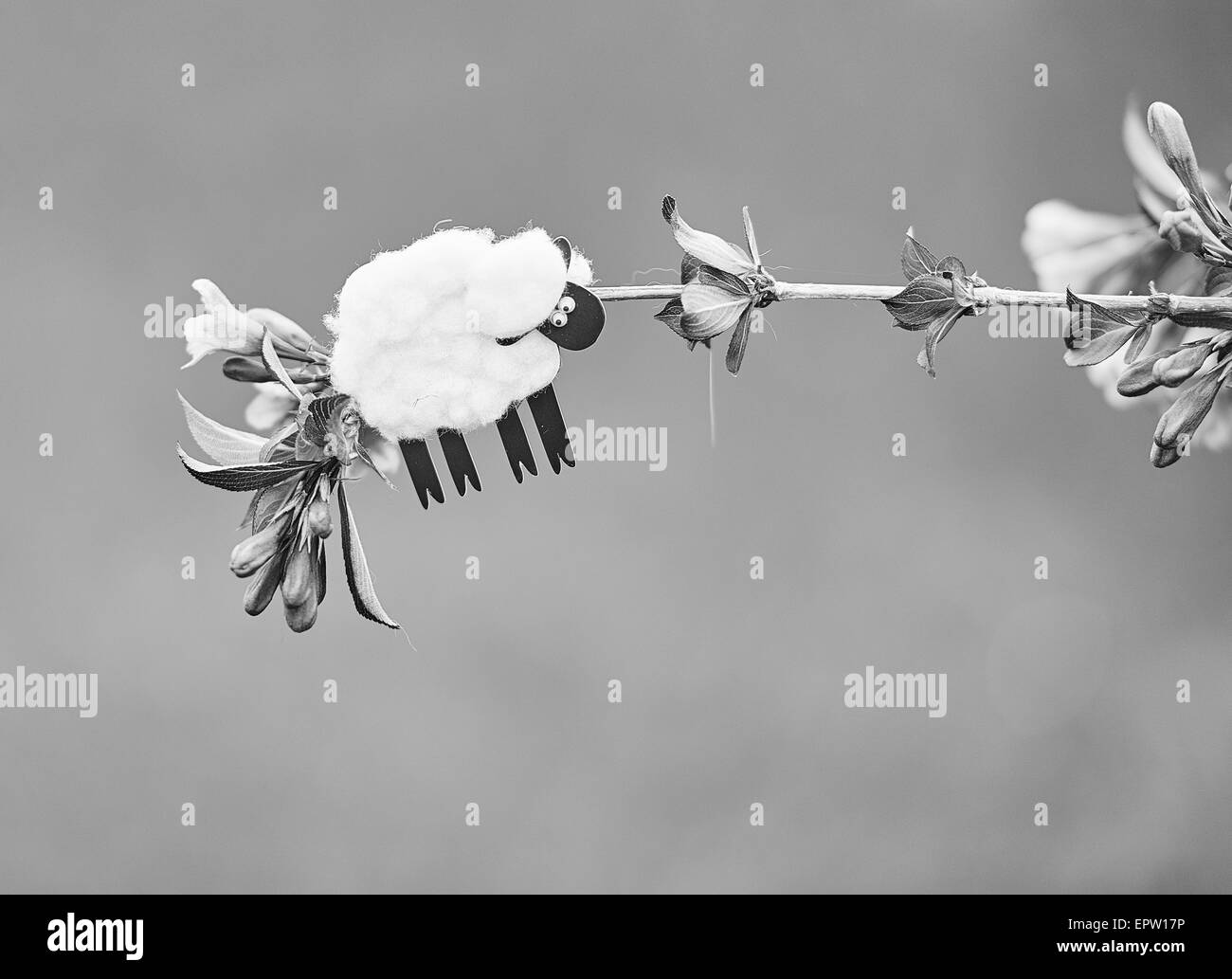 Small toy sheep attached to branch in field in Black and White Stock Photo