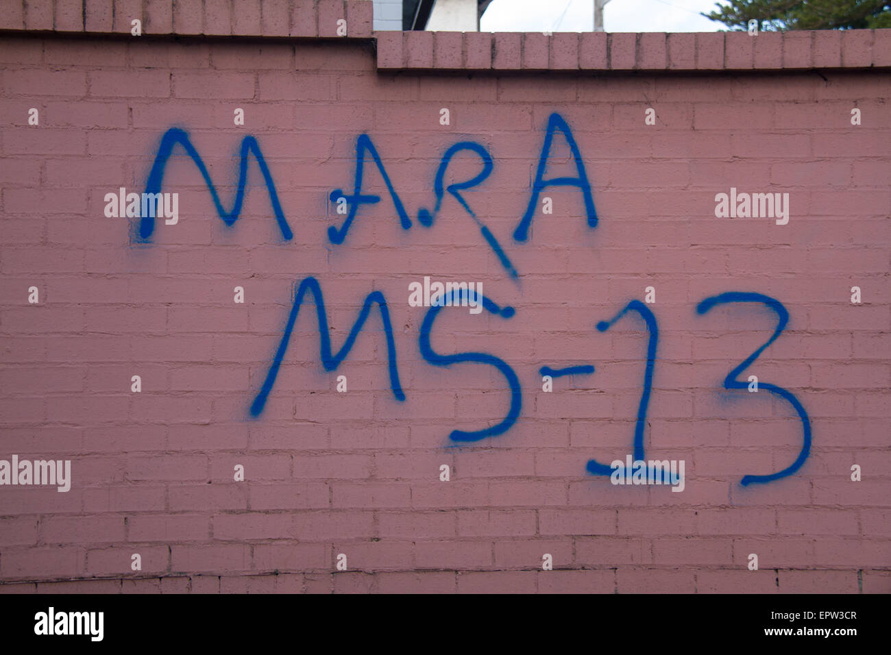 Sydney, Australia. 21 May 2015. Graffiti representing the Mara Salvatrucha or MS13 gang was spotted in the Bondi Road area of Bondi Beach in Sydney. Pictured is graffiti on the corner of Bondi Road and Flood Lane. Credit: Richard Milnes/Alamy Live News Stock Photo