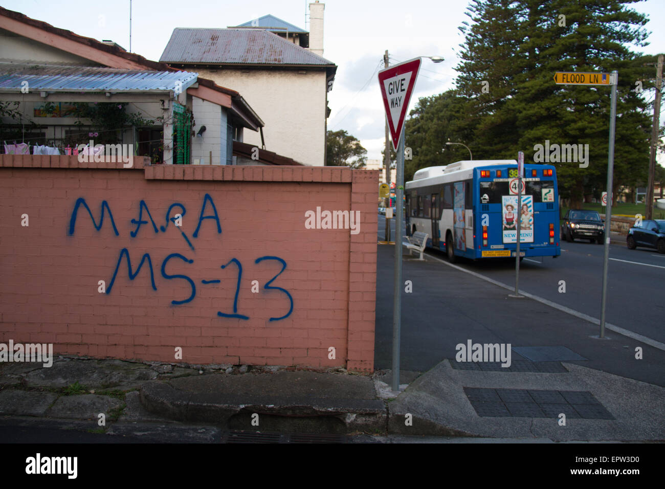 Sydney, Australia. 21 May 2015. Graffiti representing the Mara Salvatrucha or MS13 gang was spotted in the Bondi Road area of Bondi Beach in Sydney. Pictured is graffiti on the corner of Bondi Road and Flood Lane. Credit: Richard Milnes/Alamy Live News Stock Photo