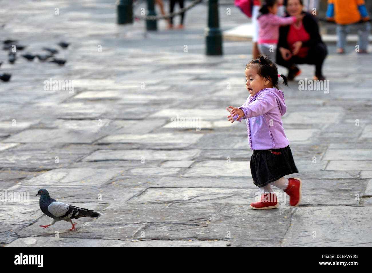 Girl chasing a pigeon on a square, Lima, Peru Stock Photo