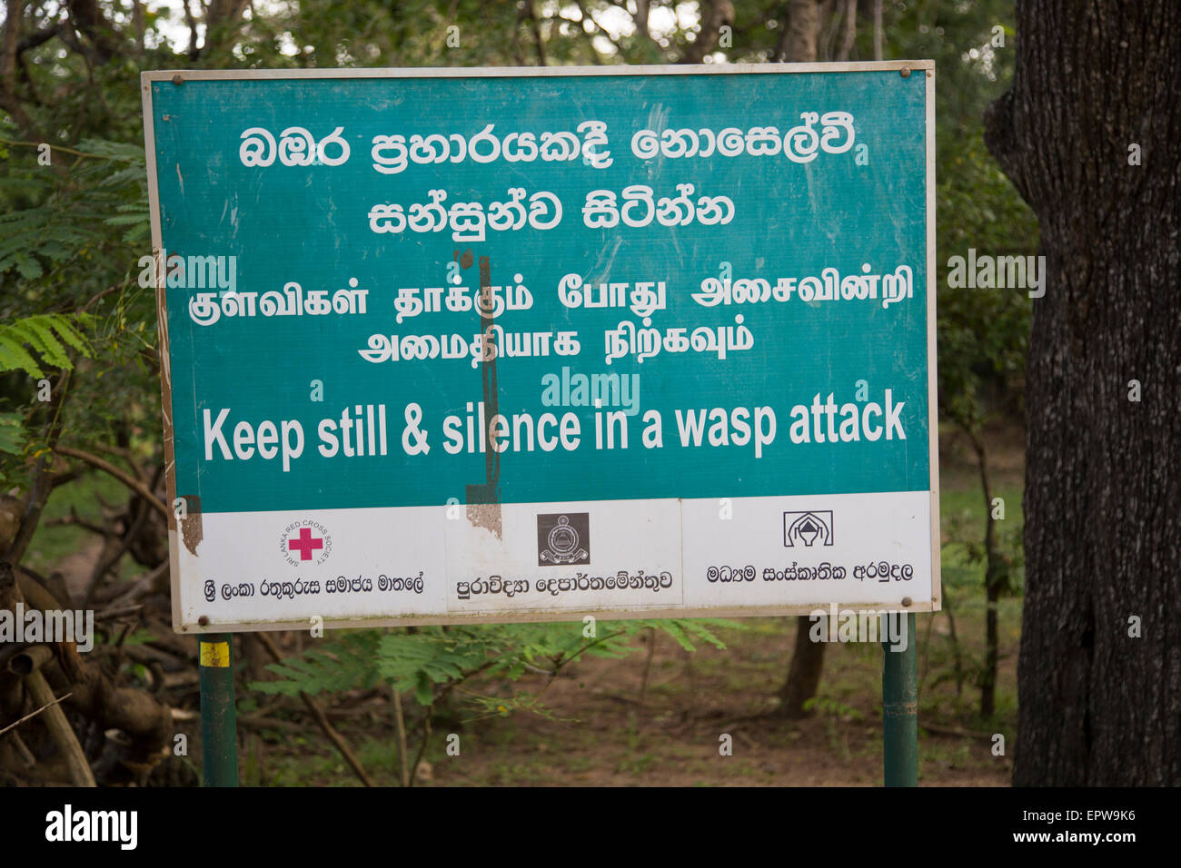 Sri Lanka Sinhalese Stock Photos & Sri Lanka Sinhalese 