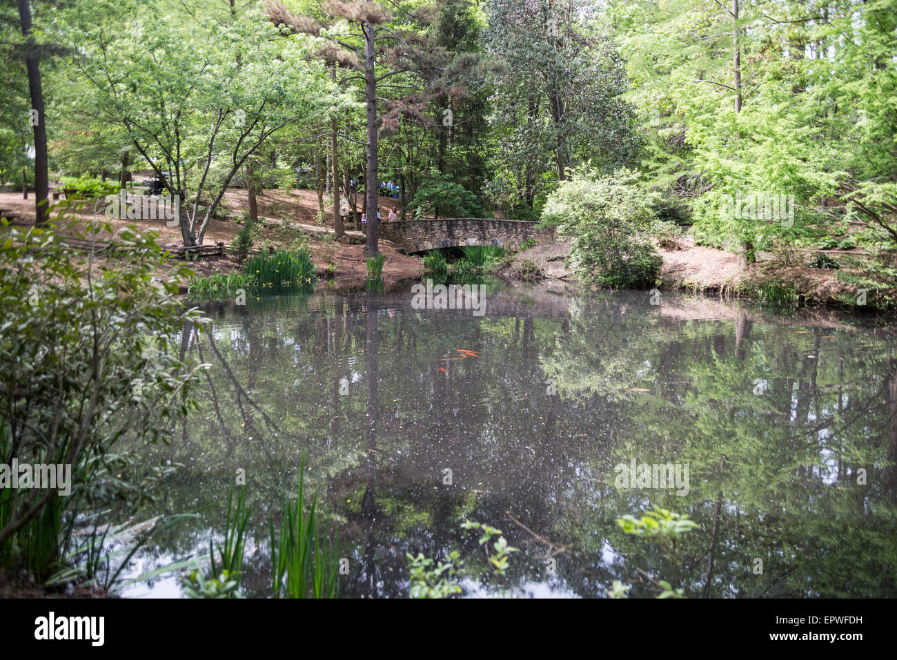 Heritage Pond, South Carolina Botanical Gardens, Clemson, South