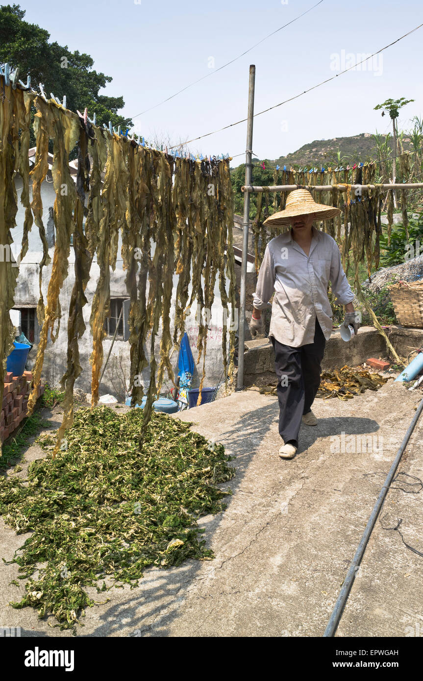 dh People PO TOI HONG KONG Chinese villager bamboo hat seaweed dried on lines Stock Photo