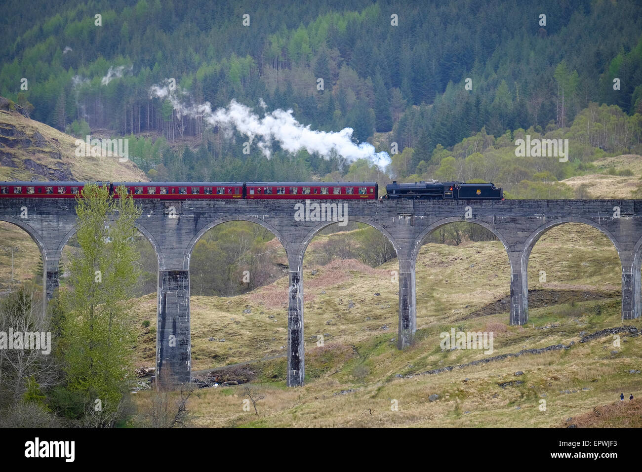 The Fort William To Mallaig Steam Train passing over the railway viaduct at Glenfinnan in The Fort William To Mallaig Steam Train passing over the railway viaduct at Glenfinnan in