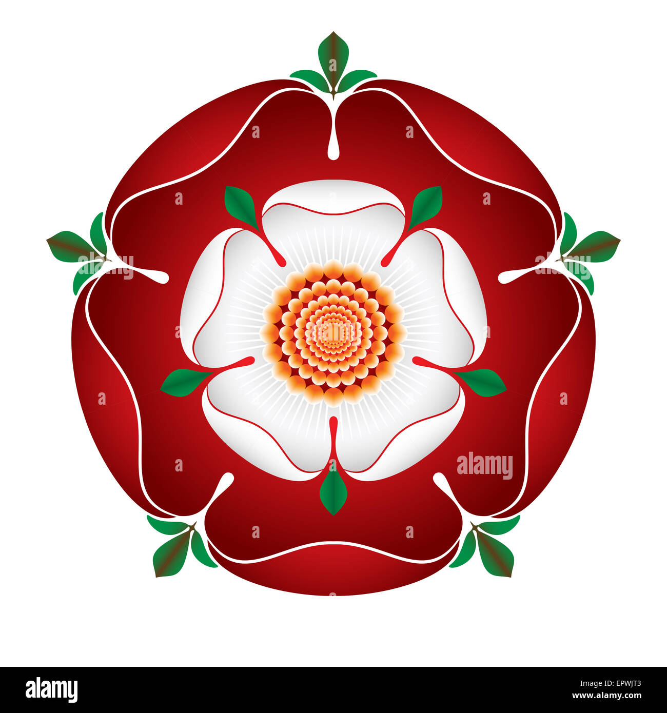 Tudor Dynasty Rose – shaded illustration – English Symbol Red rose - the house of Lancaster,  White rose - the house of York Stock Photo
