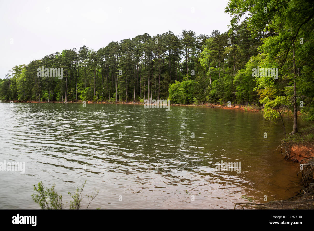 Mountain View Park, Hartwell Lake, Clemson, South Carolina, USA Stock