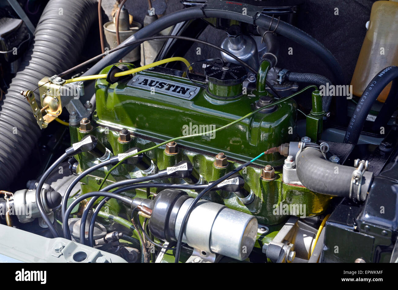 An immaculate Austin badged BMC Aseries engine in a classic Mini Stock