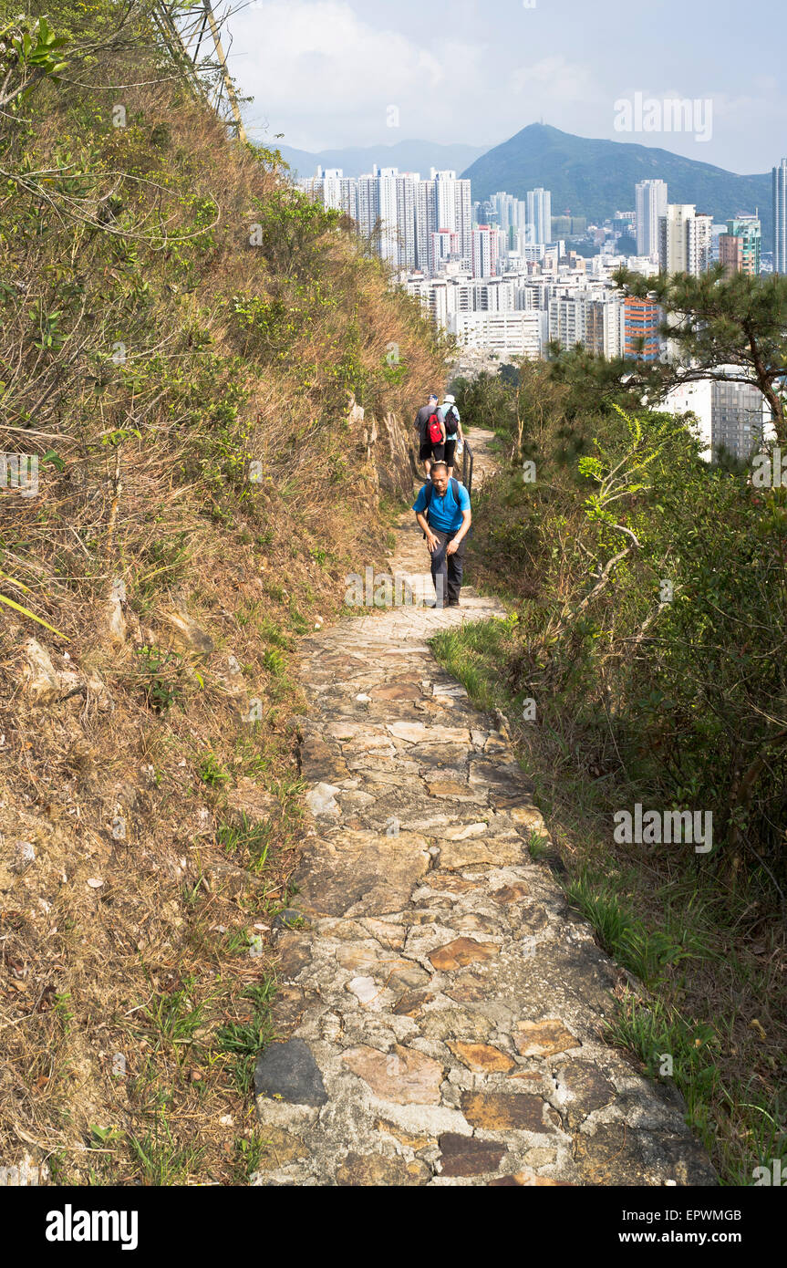 dh Pok Fu lam country park ABERDEEN HONG KONG ISLAND Hiker walking up hill footpath hiking trail hike Stock Photo