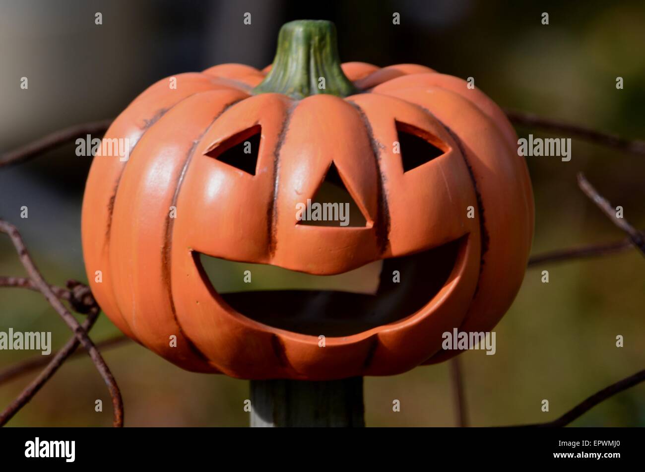 Pumpkin on a fence pole Stock Photo - Alamy