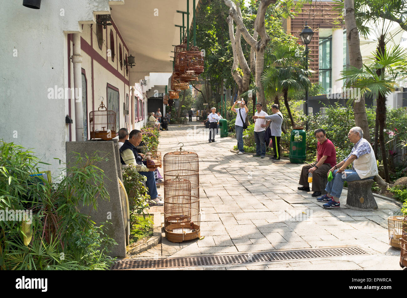 dh Yuen po bird market park MONG KOK HONG KONG Chinese men with birds cages street Bird Garden Mongkok people in gardens city relaxing china kowloon Stock Photo