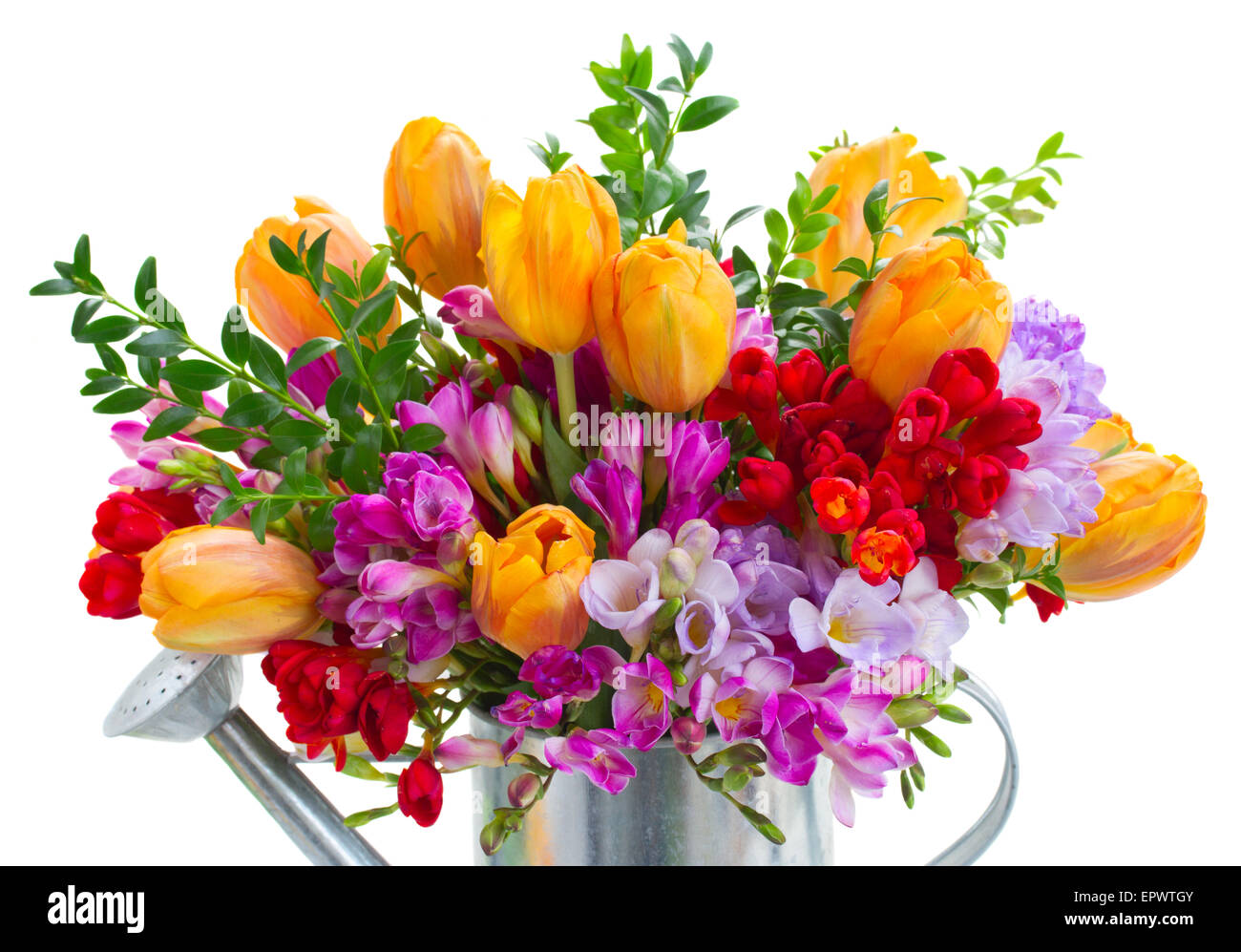freesia and tulip flowers Stock Photo Alamy