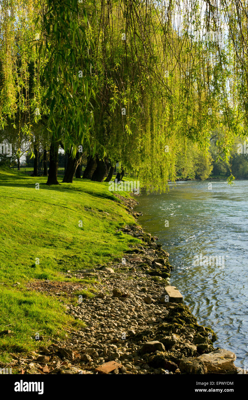 Beautiful spring morning by the river Krka, Slovenia. Stock Photo