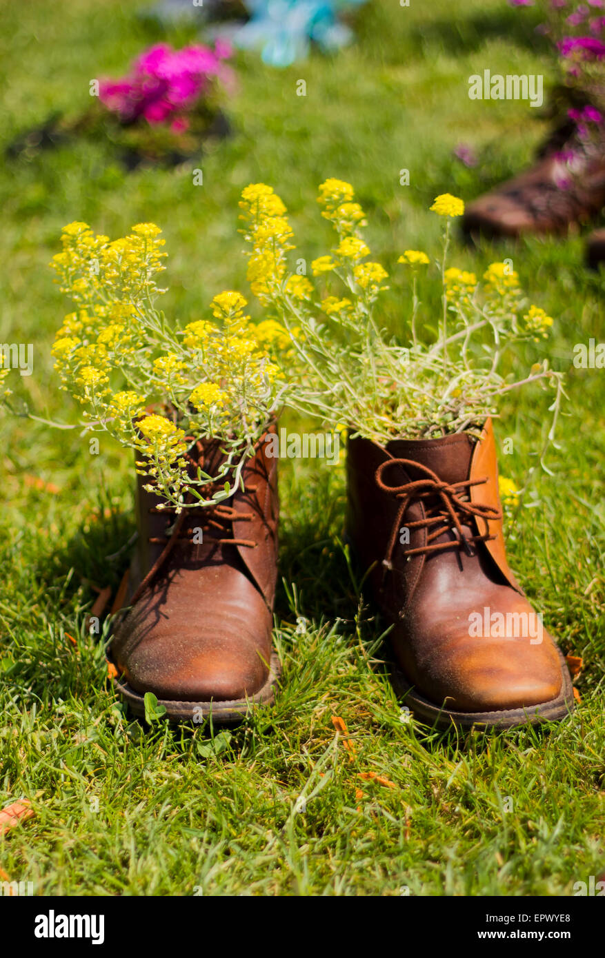 Funny shoes with yellow flowers. Stock Photo