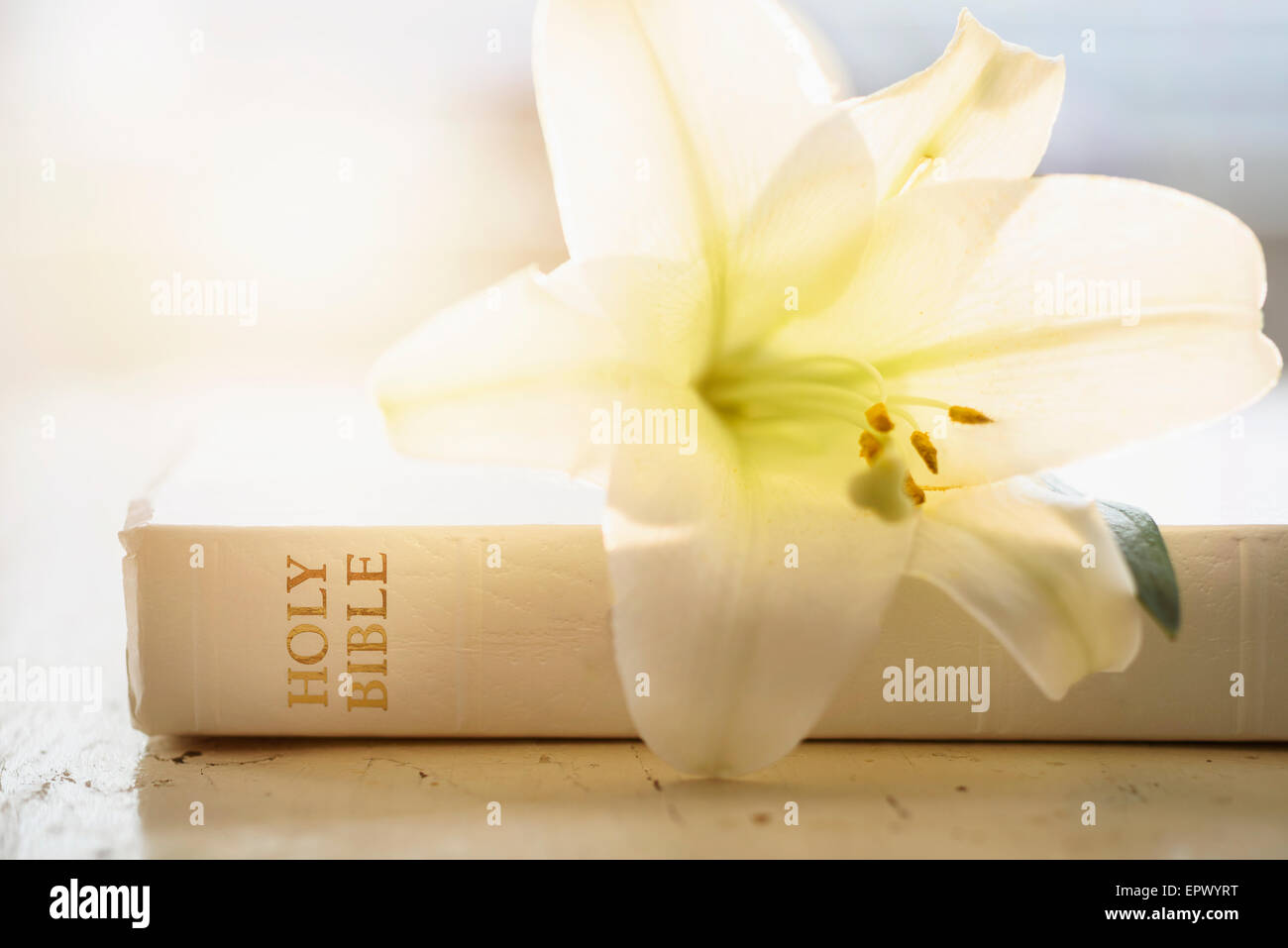 Lily bible hires stock photography and images Alamy