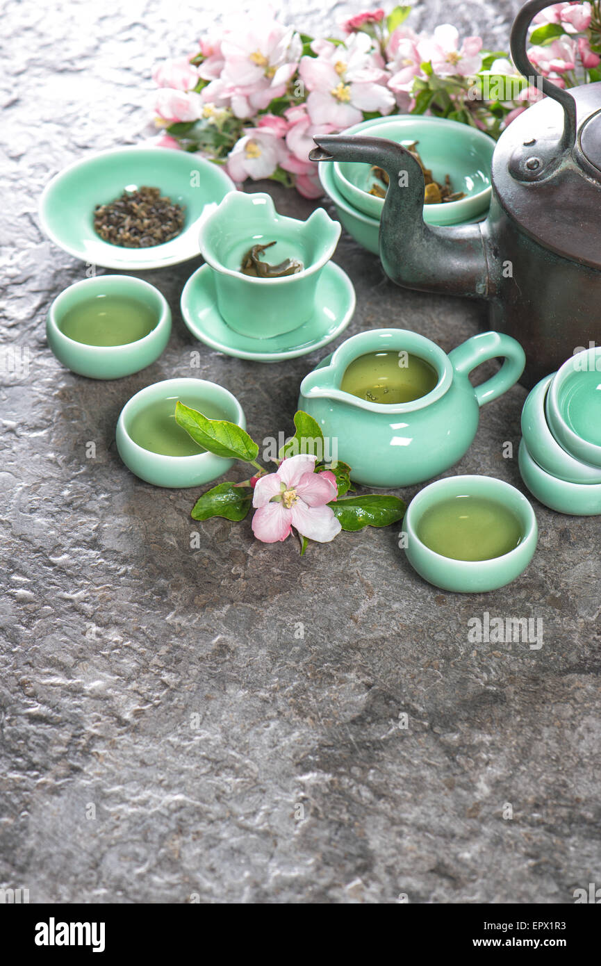 Whistling Tea Kettle for Stove Top, Cactus Decor Enamel on Steel