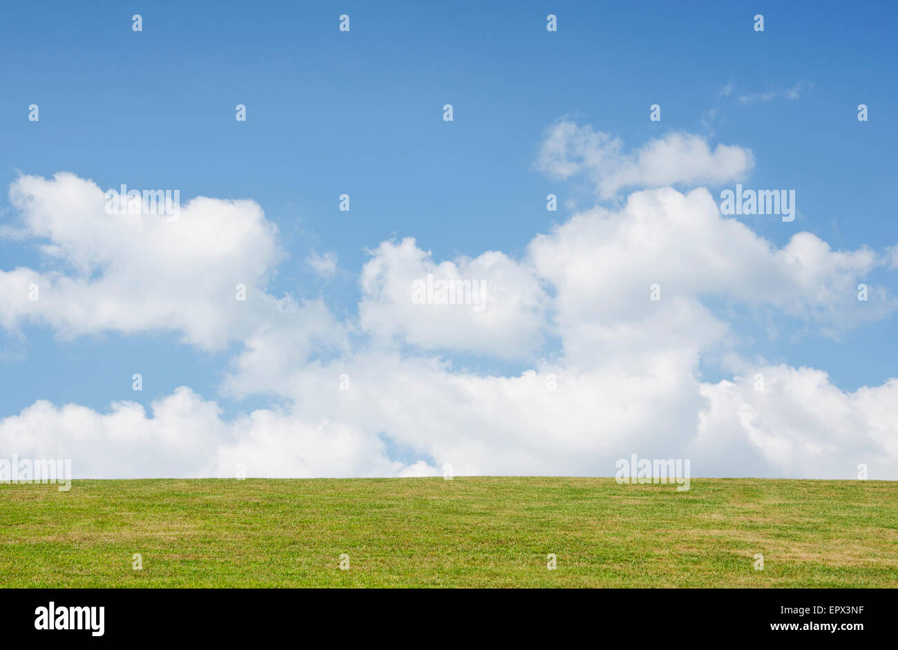 USA, New Jersey, Scenic view of landscape Stock Photo