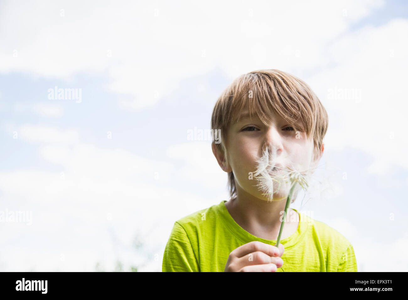 Boy (6-7) blowing dandelion Stock Photo