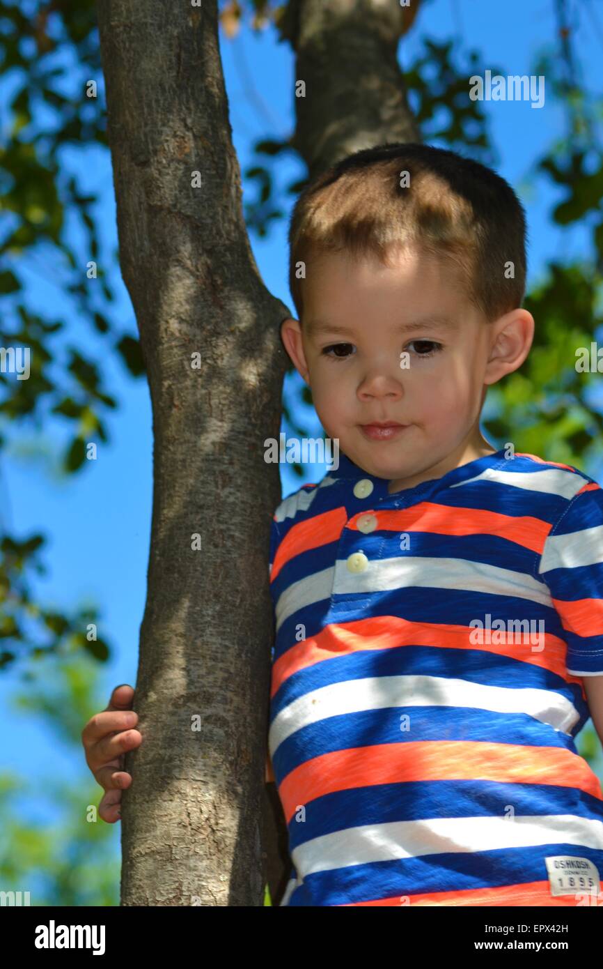 Young boy hanging out in a tree... Stock Photo
