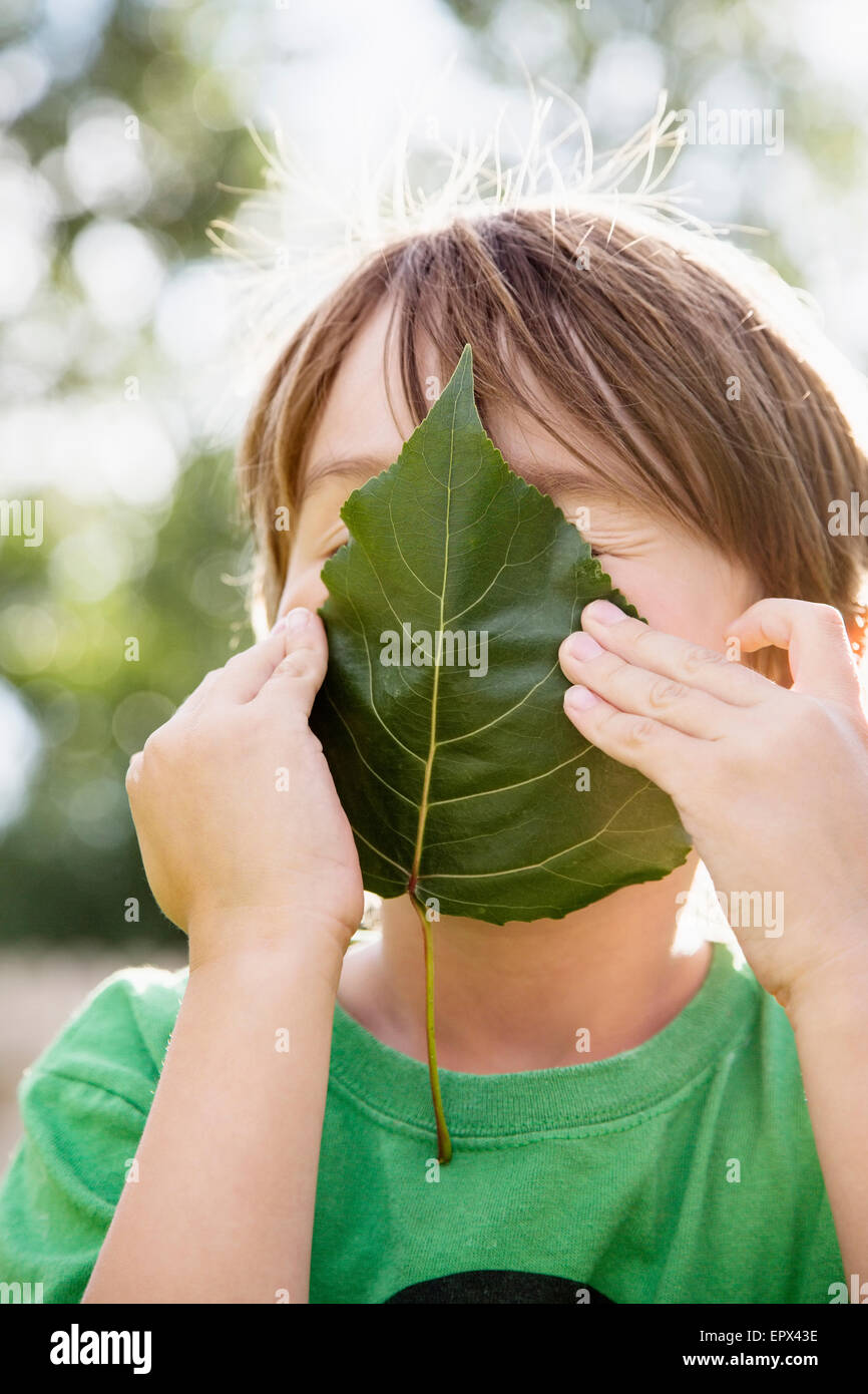 Boy (6-7) holding leaf on face Stock Photo - Alamy