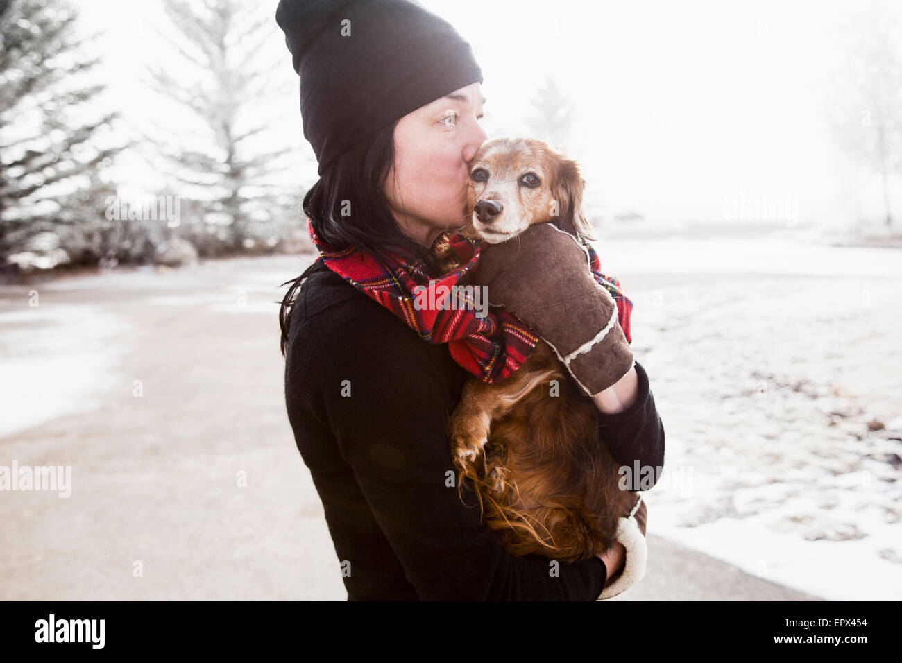 USA, Colorado, Woman holding and kissing dog Stock Photo