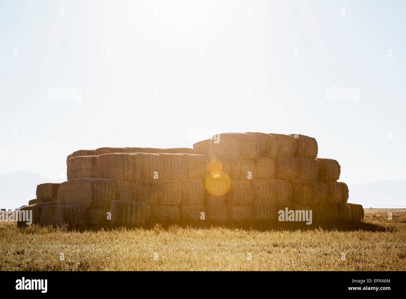 USA, Colorado, Stack of bales in field Stock Photo